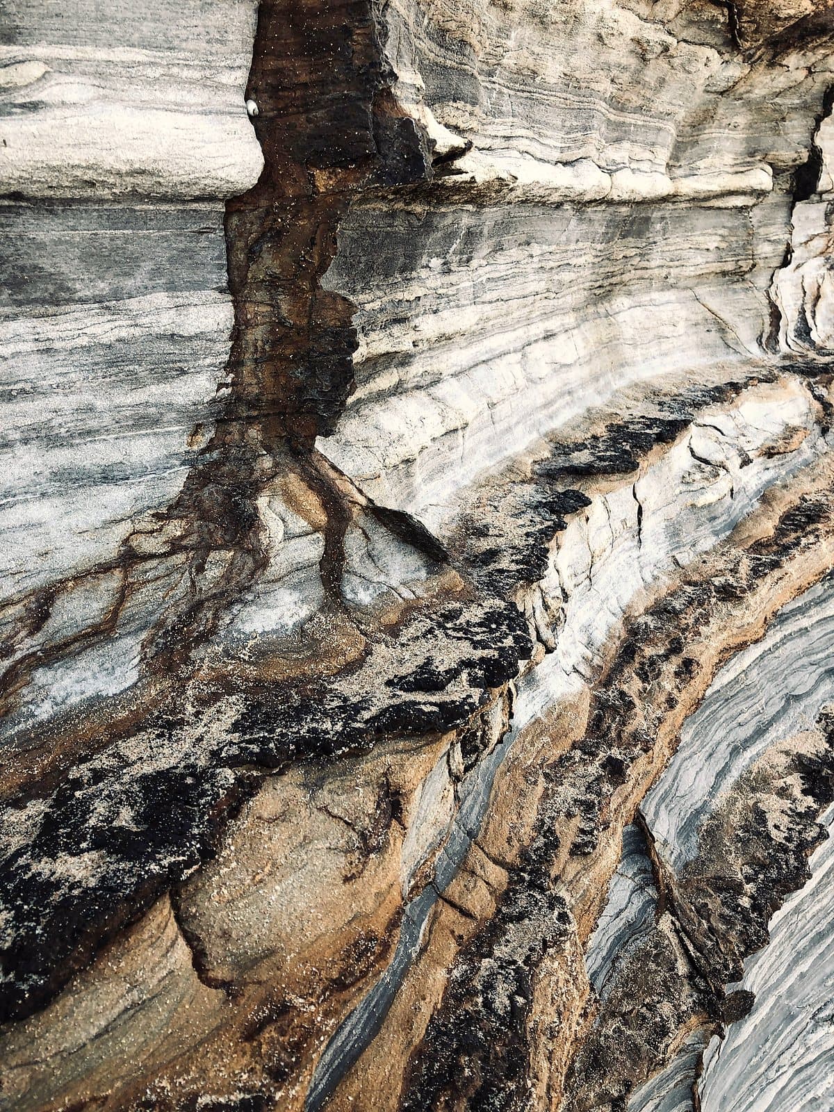 Close-up of layered stone strata showing warm and cool mineral bands.